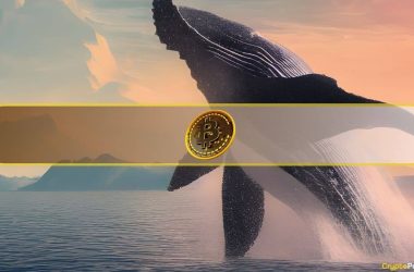 whale-inflows-surge,-daily-inflows-dip-–-what’s-next-for-bitcoin?