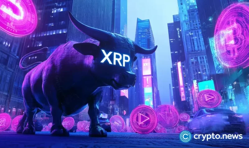 xrp-price-set-to-pump-as-top-token-metrics-surge-to-all-time-high