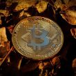 elon-musk’s-spacex-moves-bitcoin-holdings-for-the-first-time-in-3-years,-here’s-where-it-went