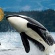 galaxy-digital-sends-over-10,000-bitcoin-from-satoshi-era-stash-to-exchanges