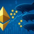 ethereum-whales-accumulate-over-$4.1b-in-eth-in-two-weeks-–-details
