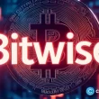 bitwise-cio-declares-the-crypto-cycle-dead—institutions-are-the-new-drivers