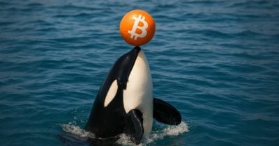 galaxy-digital-moves-$447m-in-bitcoin-to-exchanges,-sparking-sell-off-speculation