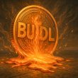 blackrock’s-buidl-fund-hit-by-$447m-outflow-after-18-month-record-breaking-$2.8b-inflow