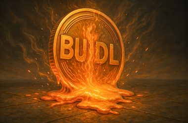 blackrock’s-buidl-fund-hit-by-$447m-outflow-after-18-month-record-breaking-$2.8b-inflow