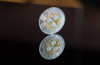 market-cap-not-a-hindrance-to-xrp-price-reaching-$1,000,-expert-explains-why