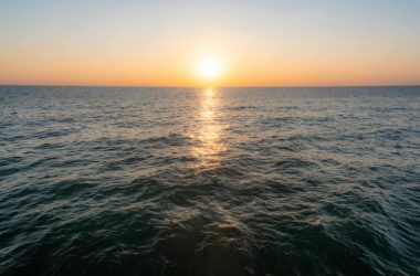 slow-and-steady:-bitcoin’s-current-rise-feels-different—study