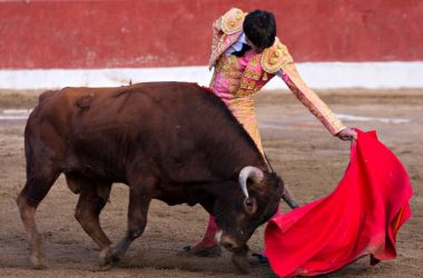 bitcoin-analyst-builds-btc’s-bullish-case-after-binance-volume-spike,-fed-liquidity-surge