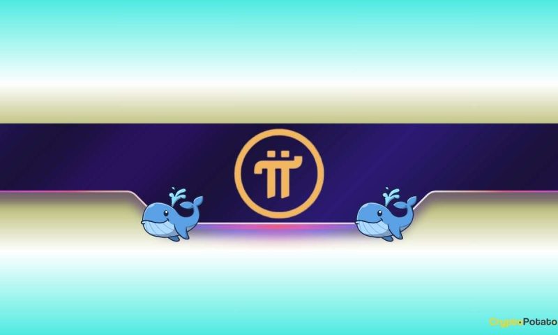 pi-network’s-price-plummets-by-20%-weekly,-but-this-mysterious-whale-keeps-buying-pi:-details