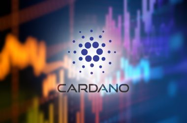 cardano-price-boost-as-midnight’s-night-token-airdrop-goes-live