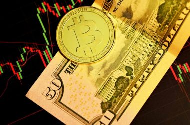 bitcoin-is-still-king-of-capital-inflows,-according-to-michael-saylor