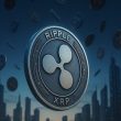 xrp-still-has-a-shot-if-it-can-hold-this-level