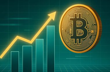 altseason-still-on-hold-–-metrics-reveal-btc-outpaces-large,-mid,-small-caps