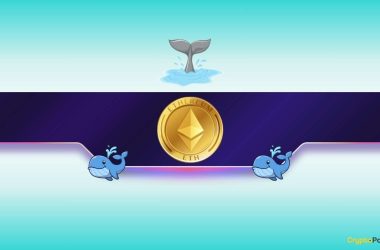 what-are-big-ethereum-(eth)-investors-up-to?