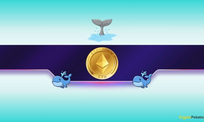 what-are-big-ethereum-(eth)-investors-up-to?
