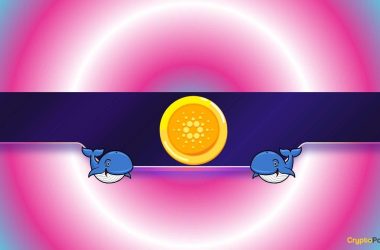 200,000,000-ada-in-just-2-days:-are-cardano-whales-preparing-for-something?