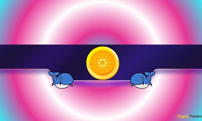 200,000,000-ada-in-just-2-days:-are-cardano-whales-preparing-for-something?