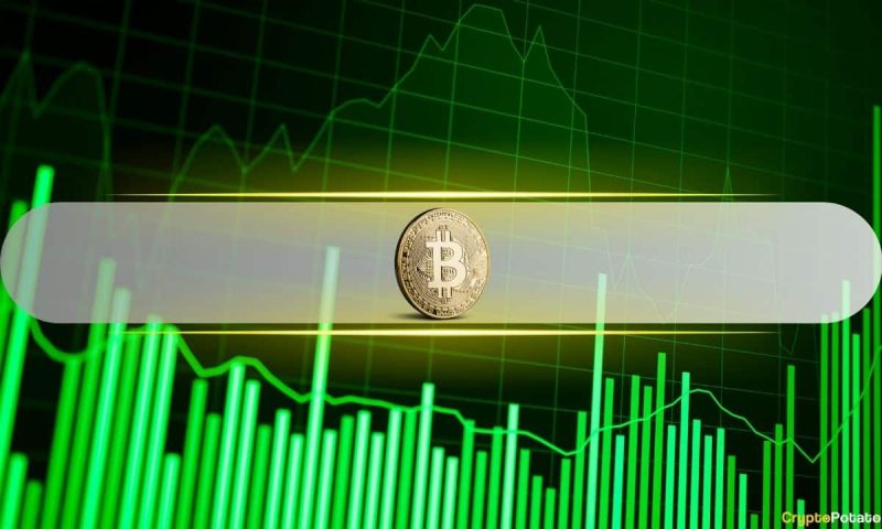 bitcoin-profit-taking-slows-as-long-term-holders-hold-steady-in-august