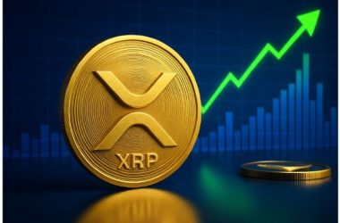 analyst-predicts-xrp-price-crash-below-$3,-but-there’s-good-news