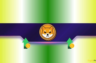 why-is-the-shiba-inu-(shib)-price-up-today?