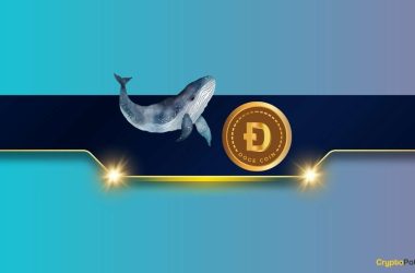 massive-doge-whale-activity-hints-at-$1-breakout