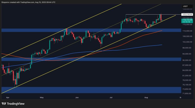 bitcoin-price-analysis:-classic-bull-trap-emerges-after-btc’s-record-high