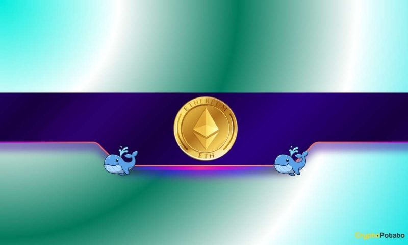 mysterious-whale-or-institution?-who’s-snapping-up-eth?