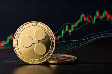 market-expert-reveals-why-xrp-price-at-$1,000-is-not-a-possibility