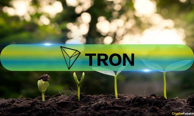 tron-short-term-gains-exceed-30%:-rising-profits-could-spark-a-market-rally