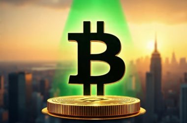 new-crypto-assets-group-backed-by-trump-gets-green-light