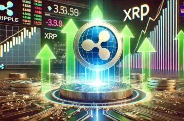 analyst-puts-xrp-cycle-top-above-$20,-but-says-price-must-hold-last-line-of-defense