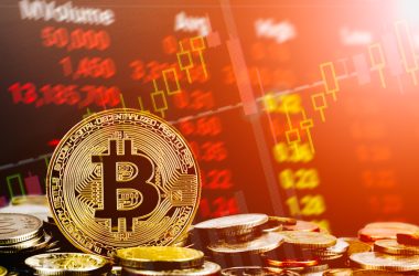 what-sparked-the-sudden-crypto-market-surge?