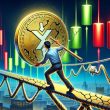 xrp-price-declines-again,-key-support-tested-as-risks-increase