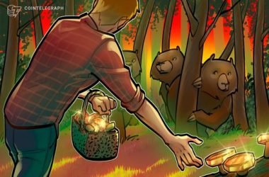 bitcoin-bear-market-is-likely-years-away:-trump-adviser-david-bailey