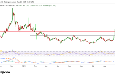 ontology-price-skyrockets-55%-to-hit-six-month-high