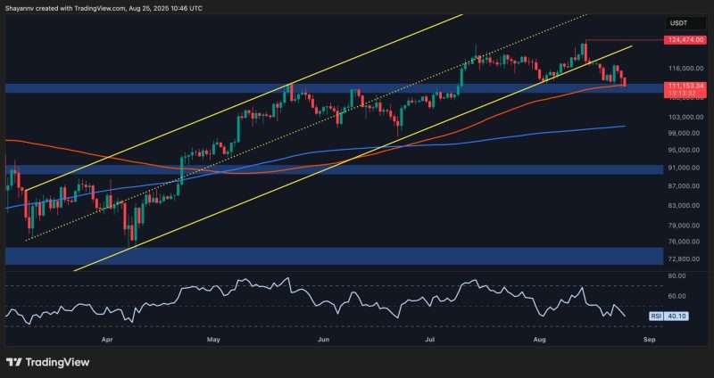 bitcoin-price-analysis:-btc-at-critical-point-for-bull-run-continuation