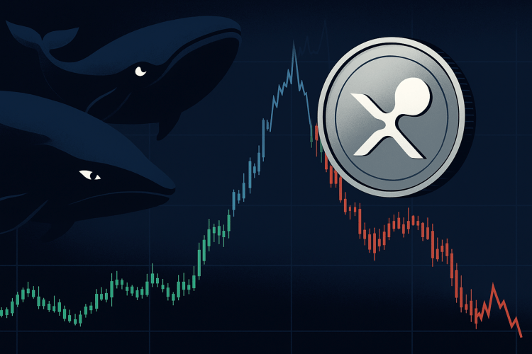 xrp-whales-unload-massive-bags:-distribution-or-trap?