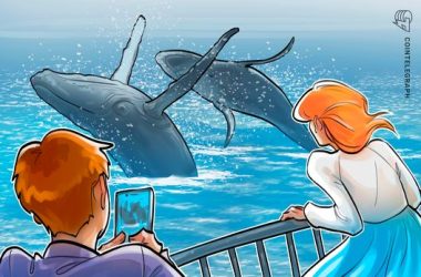 hyperliquid-whales-net-$48m-on-200%-xpl-rally,-amid-manipulation-allegations