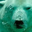 analyst-says-xrp-price-is-yet-to-hit-its-first-bearish-target-–-details