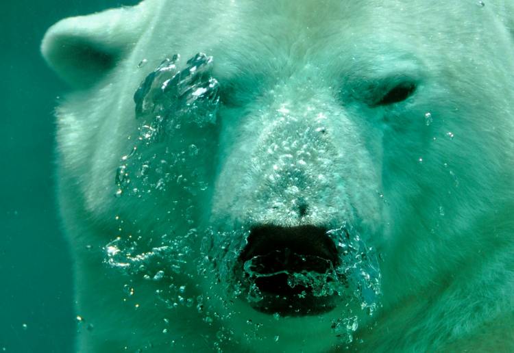 analyst-says-xrp-price-is-yet-to-hit-its-first-bearish-target-–-details