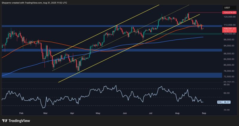 bitcoin-price-analysis:-is-btc-set-to-break-down-below-$100k?
