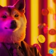 cleancore-solutions-raises-$175m-to-establish-a-dogecoin-treasury