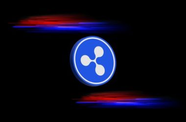 is-xrp-a-meme-coin?-analyst-reveals-how-whales-are-playing-the-game