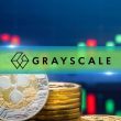 ripple-and-grayscale-celebrate-first-birthday:-is-xrp-etf-next?