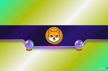 shiba-inu-(shib)-awakens:-is-a-mega-rally-about-to-begin?