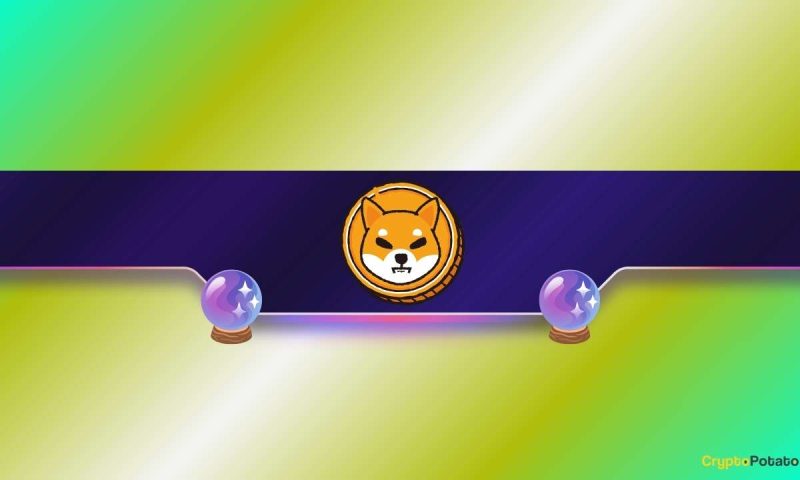 shiba-inu-(shib)-awakens:-is-a-mega-rally-about-to-begin?