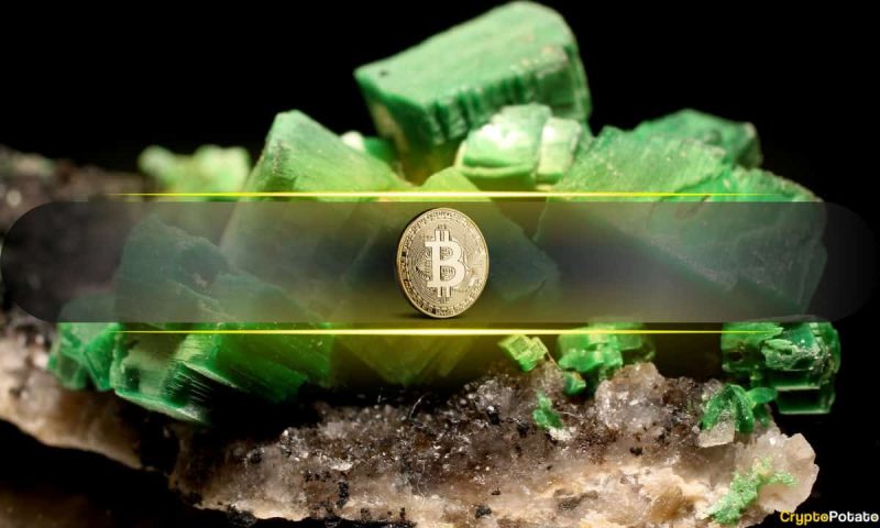 bitcoin-addresses-that-only-buy-and-never-sell-just-hit-record-levels