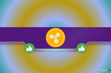 rlusd-yes,-xrp-no:-why-is-this-ripple-partner-choosing-only-the-stablecoin?