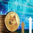 expert-crypto-trader-says-dogecoin-price-looks-‘very-good’,-here’s-why