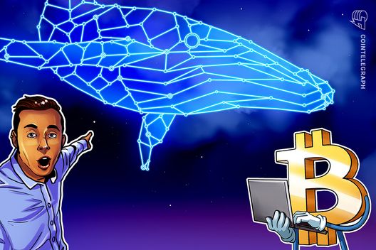 bitcoin-whale-awakens-after-12-years,-transfers-1,000-btc-before-us-fed-meeting